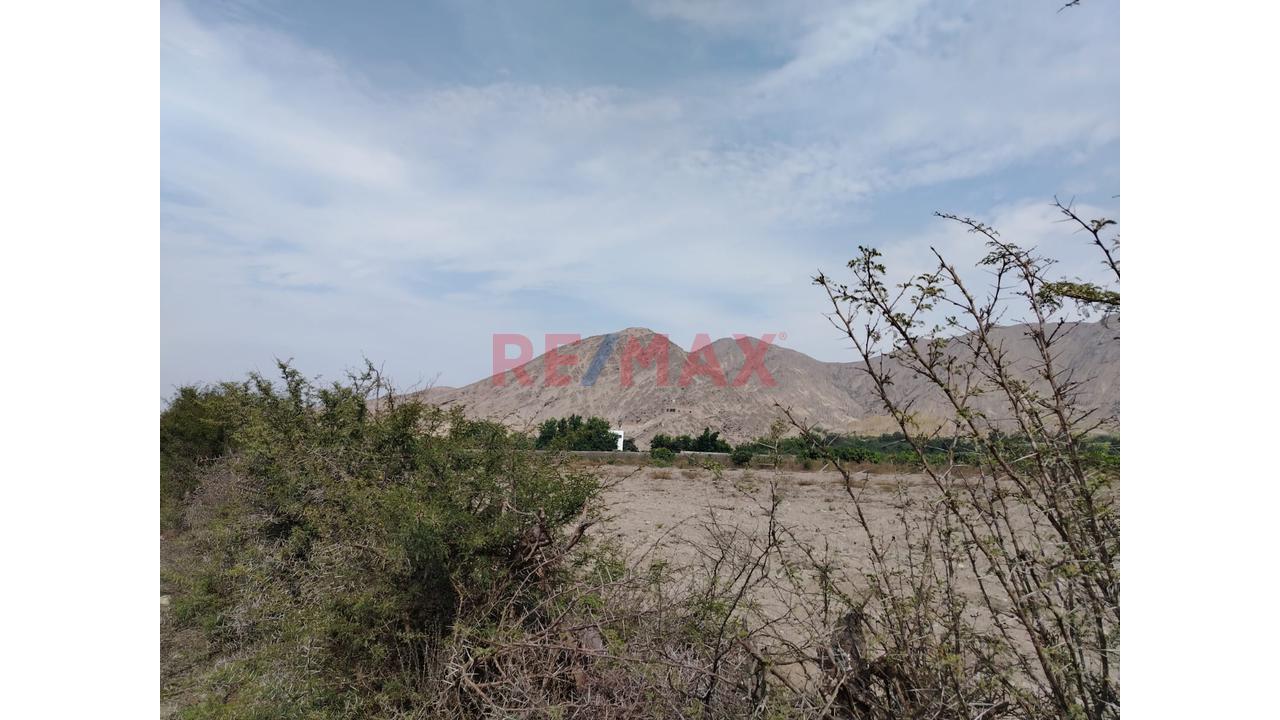 Oportunidad Se Vende Terreno En La Esperanza Huaral - 13