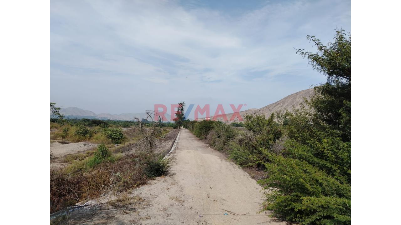 Oportunidad Se Vende Terreno En La Esperanza Huaral - 10
