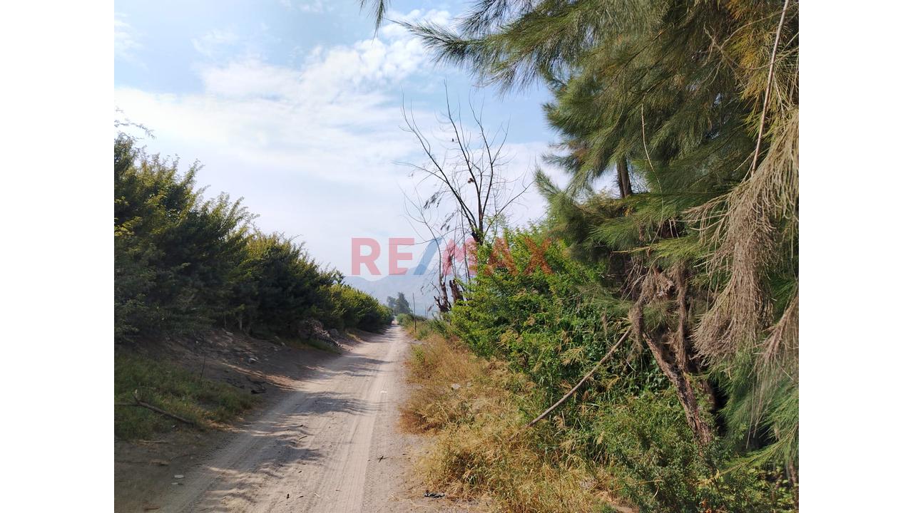 Oportunidad Se Vende Terreno En La Esperanza Huaral - 7