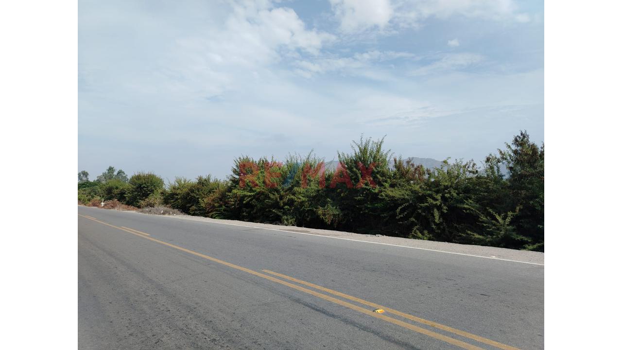 Oportunidad Se Vende Terreno En La Esperanza Huaral - 14