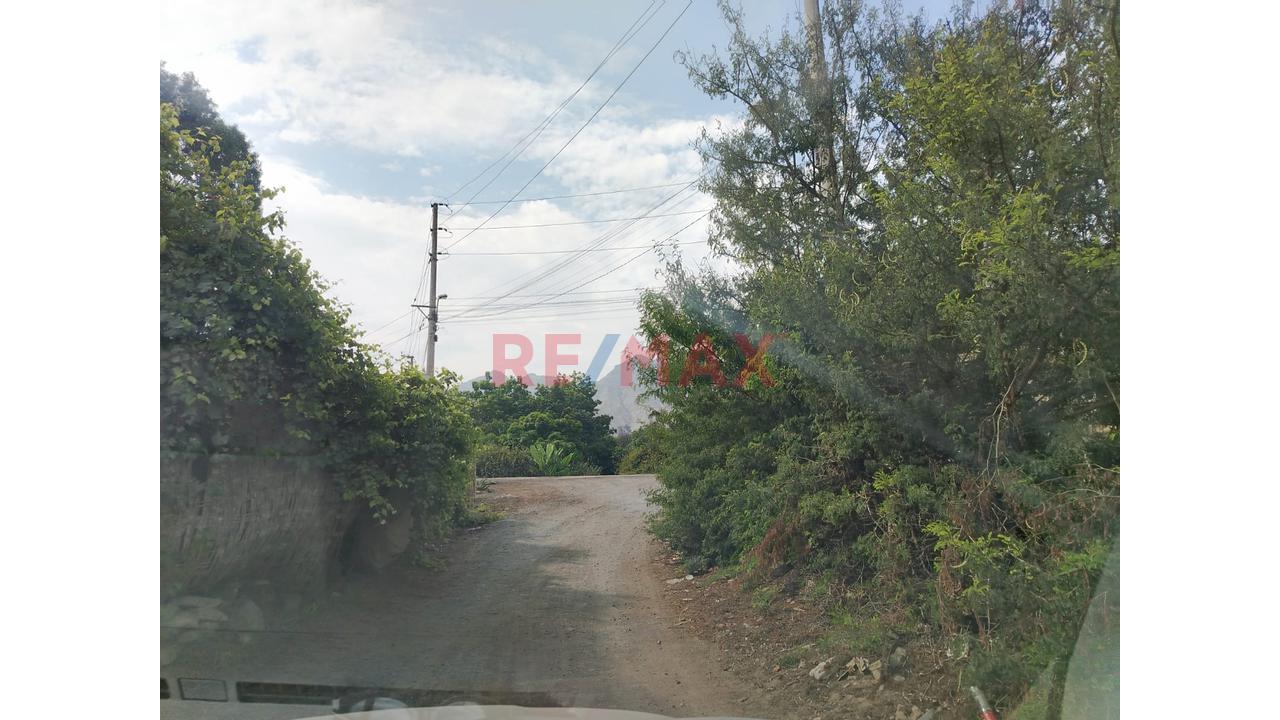 Oportunidad Se Vende Terreno En La Esperanza Huaral - 3
