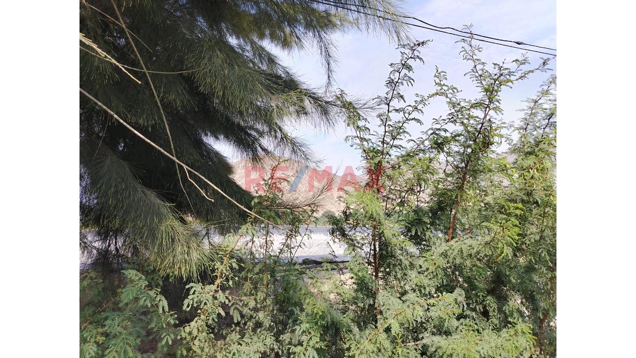 Oportunidad Se Vende Terreno En La Esperanza Huaral - 8