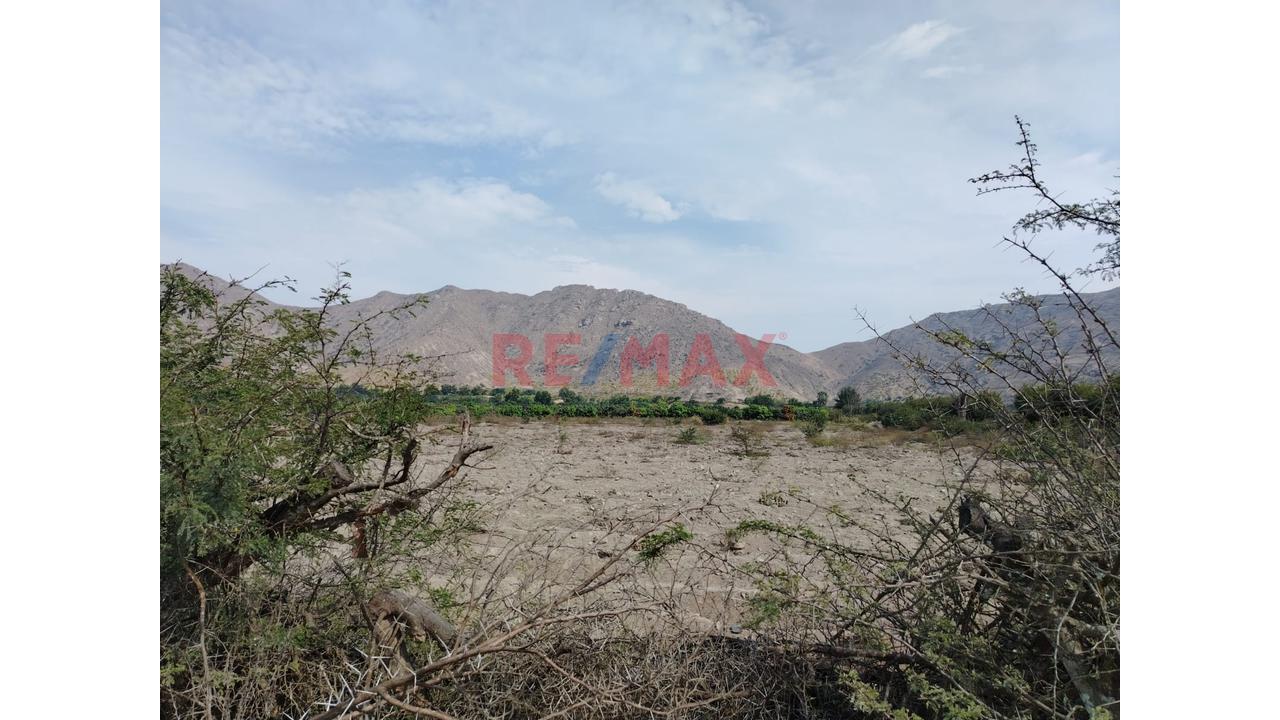 Oportunidad Se Vende Terreno En La Esperanza Huaral - 16