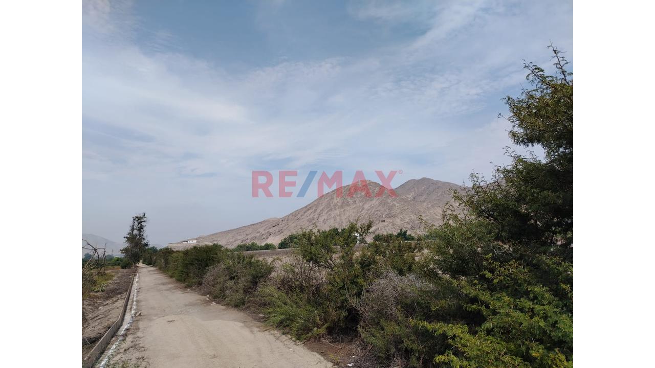 Oportunidad Se Vende Terreno En La Esperanza Huaral - 18