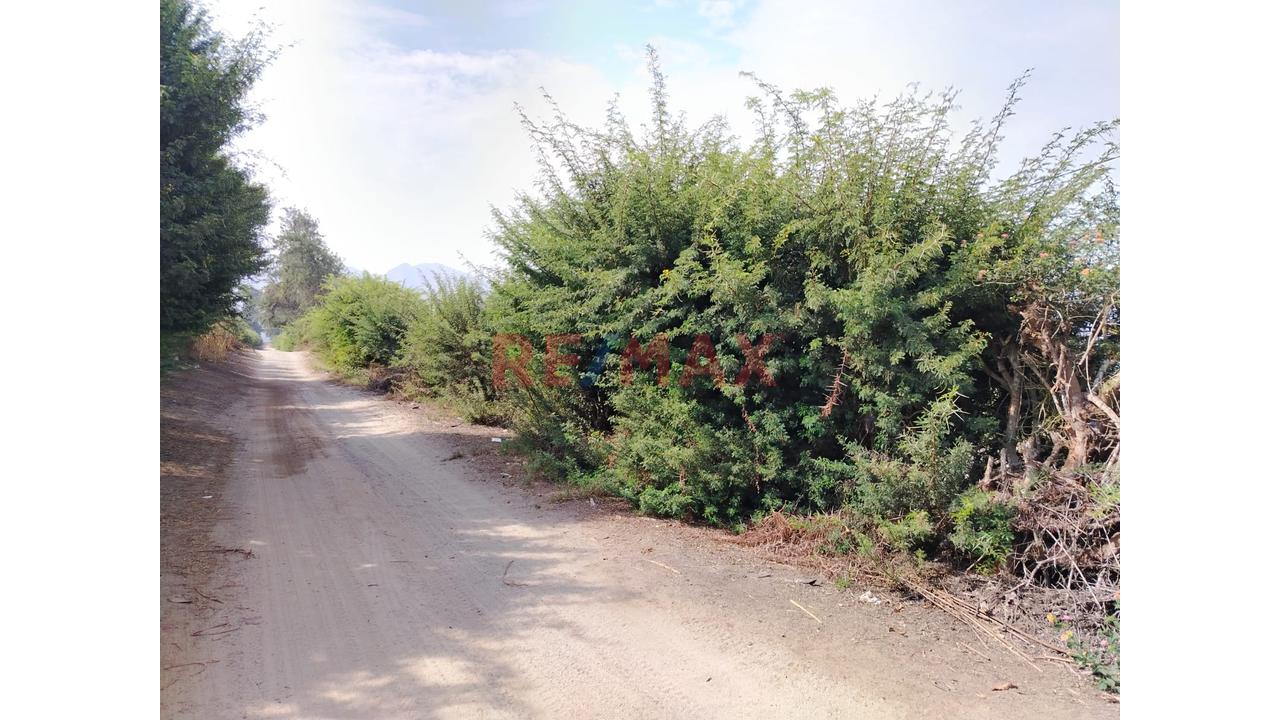Oportunidad Se Vende Terreno En La Esperanza Huaral - 5