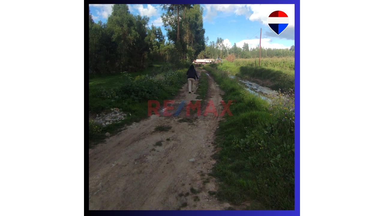 Terreno Agricola En Venta - Concepcion - 2