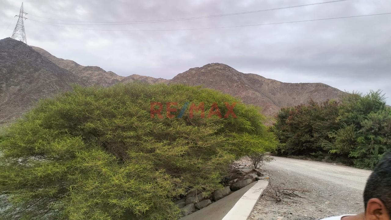 Terreno Agrícola En Venta 22 Ha - 3