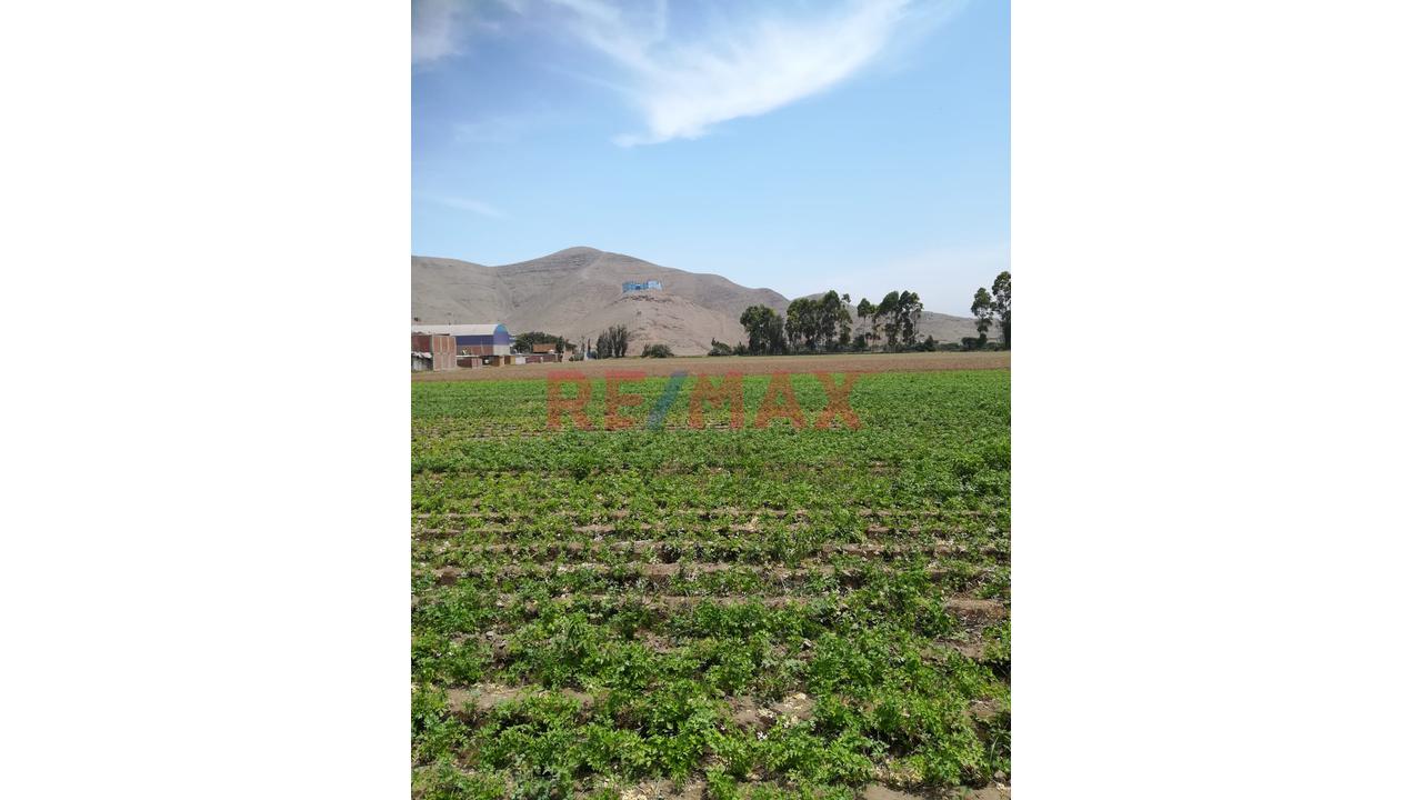 Terreno En Venta, 24,000 M², Chuquitanta De San Martin De Porres — foto 2