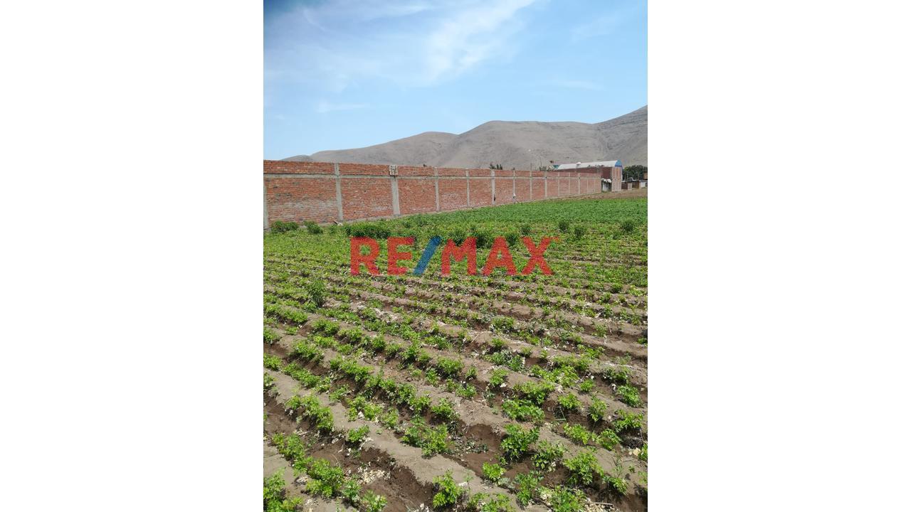 Terreno En Venta, 24,000 M², Chuquitanta De San Martin De Porres