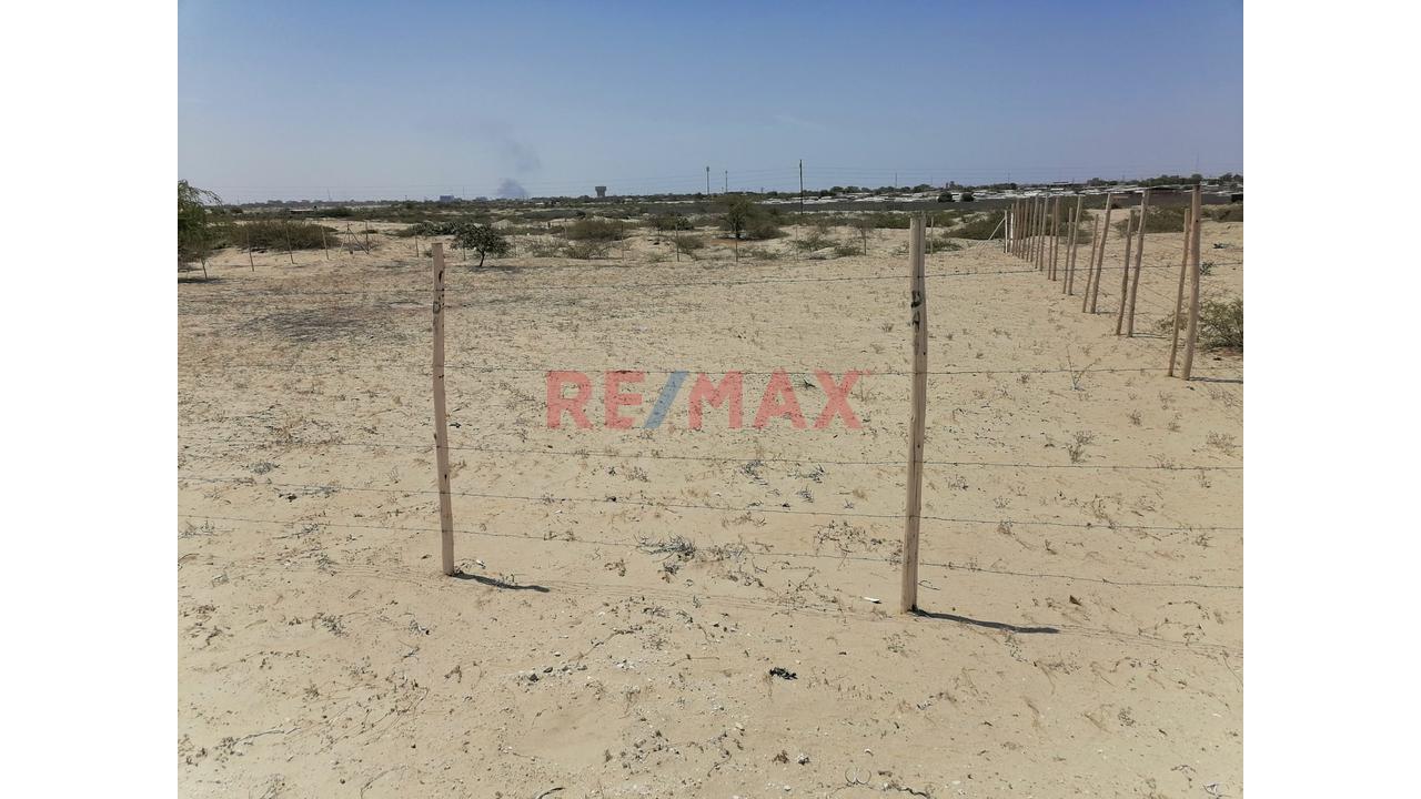 Oportunidad De Inversión En Los Ejidos – Fundo San Carlos — foto 2