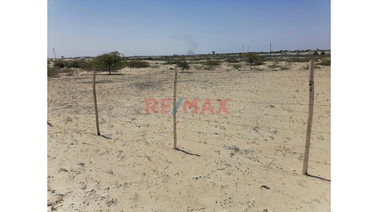 Oportunidad De Inversión En Los Ejidos – Fundo San Carlos — foto 4