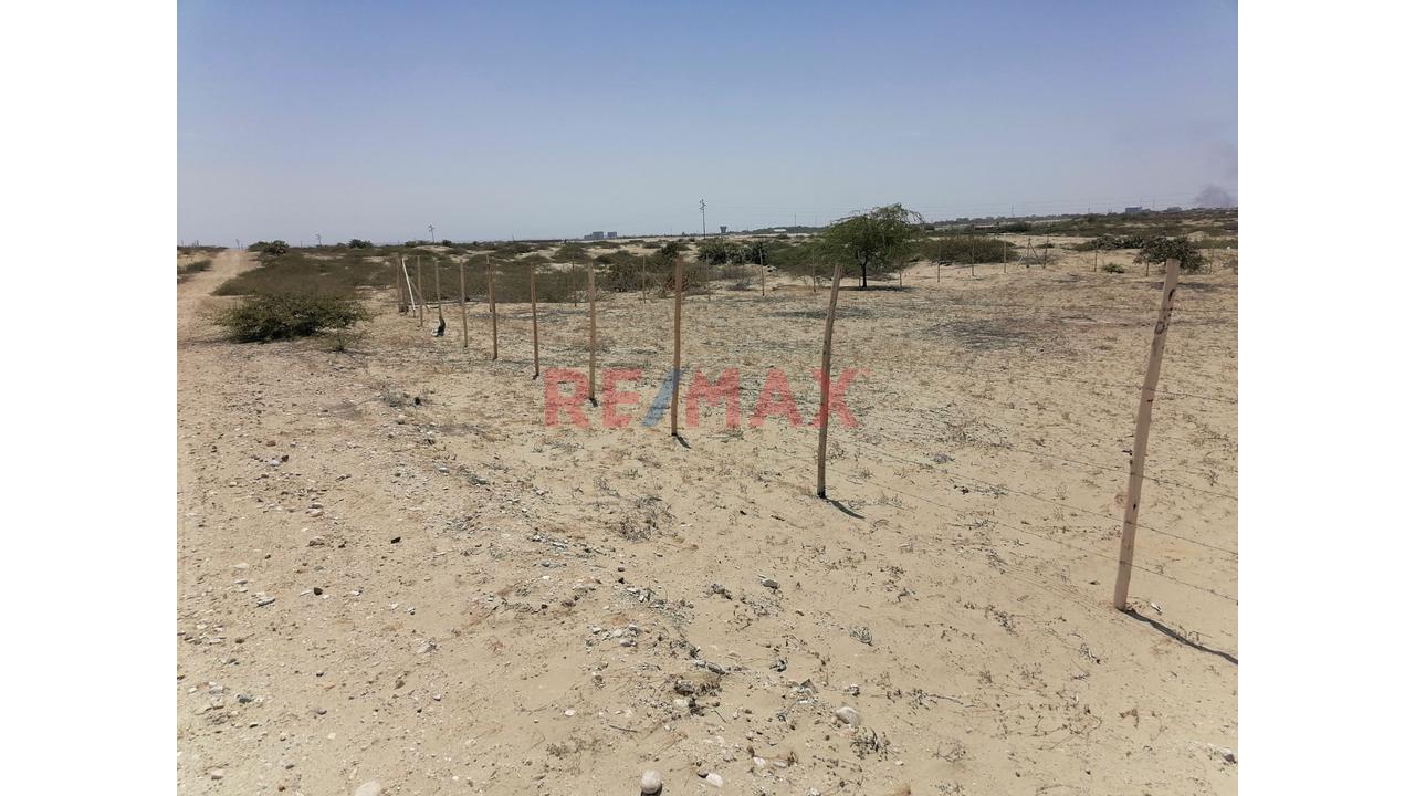 Oportunidad De Inversión En Los Ejidos – Fundo San Carlos — foto 3