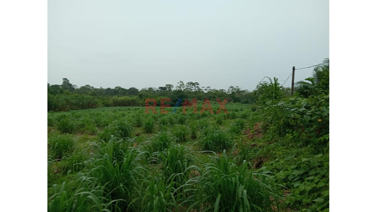 Venta De Terreno 30.19 Ha, Más Casa Asienda En Iquitos - 14