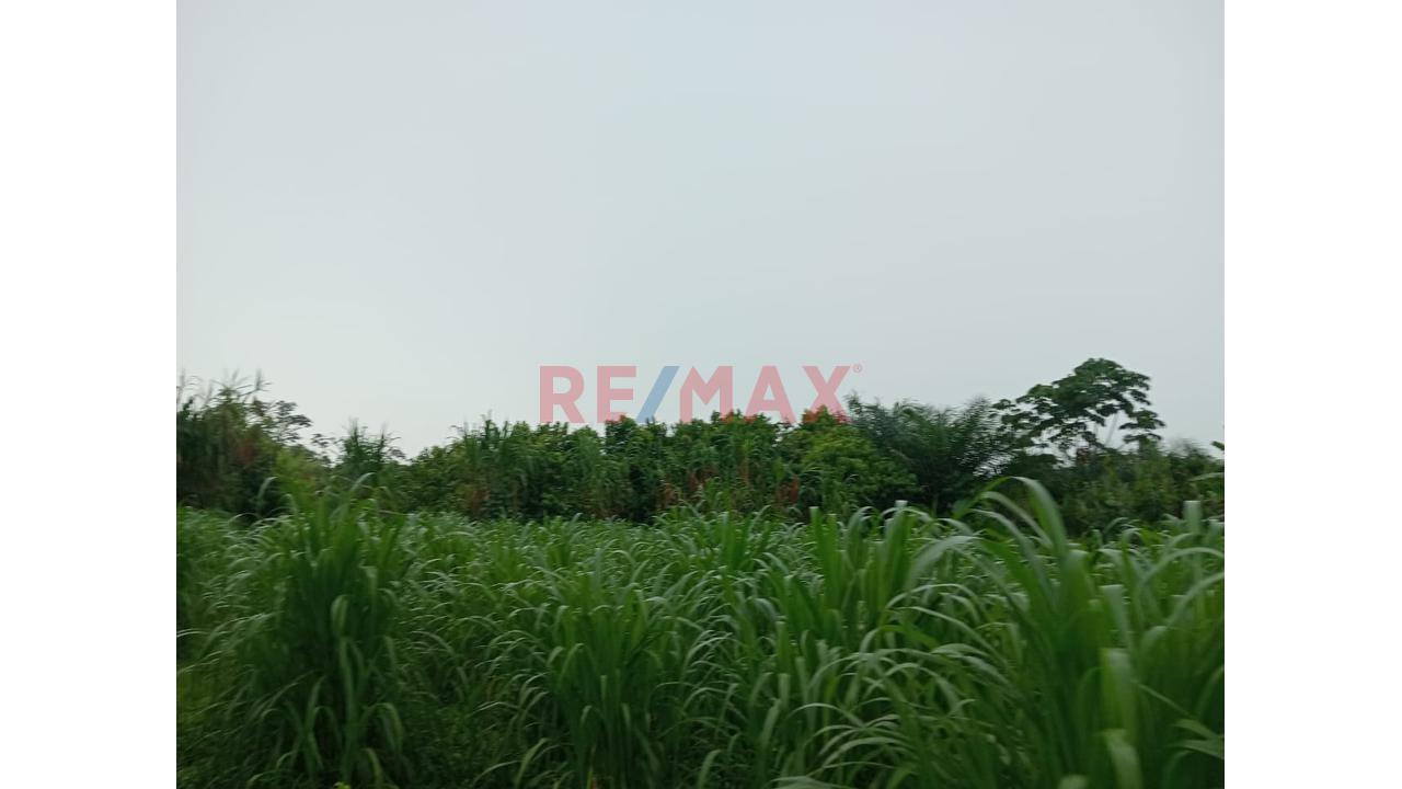 Venta De Terreno 30.19 Ha, Más Casa Asienda En Iquitos - 13