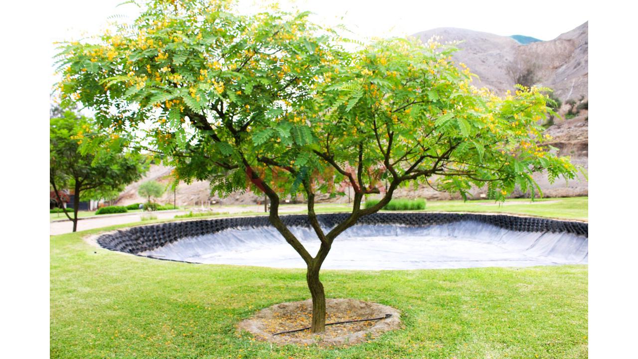 Terreno En Venta En El Mejor Clima De Lima!