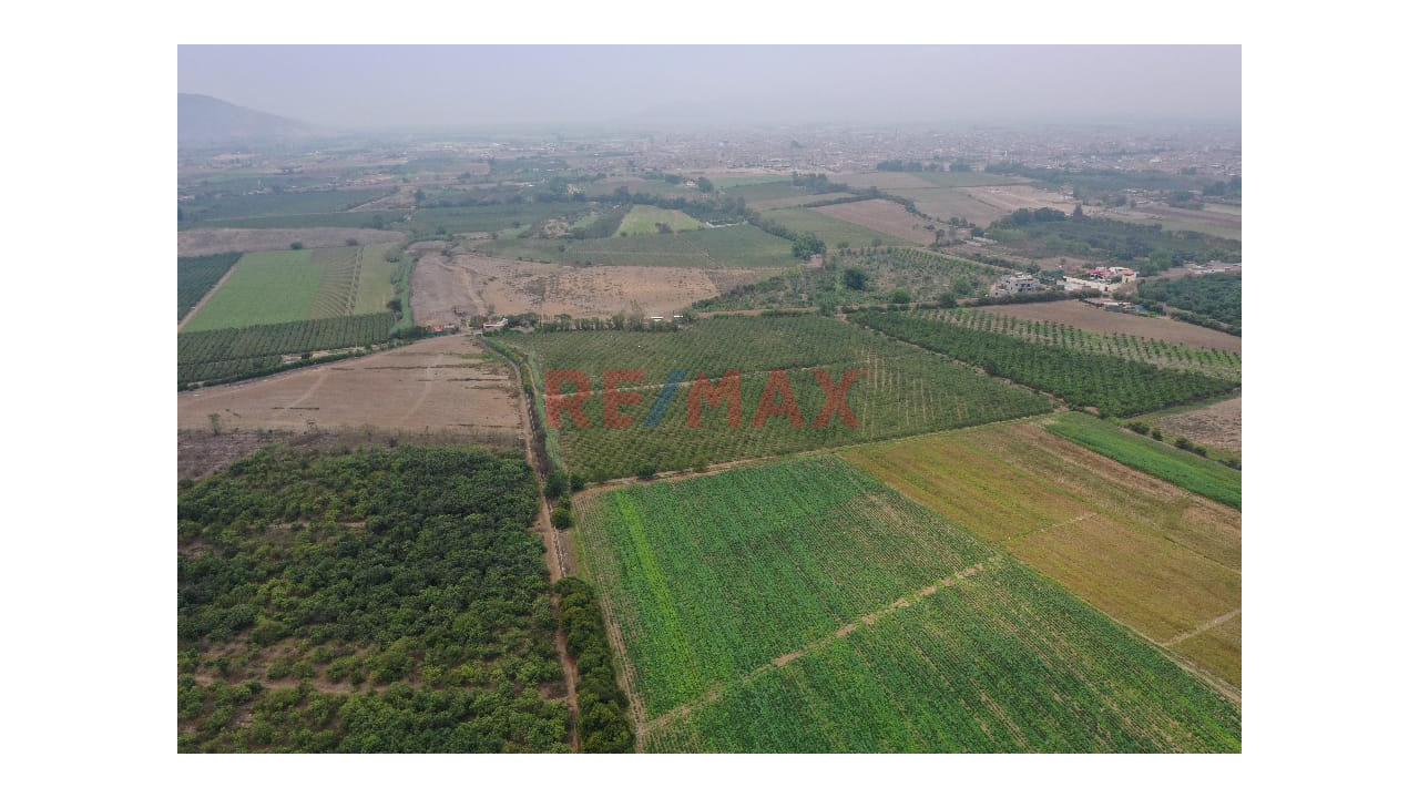 Lotes ´Para Casa De Campo En Condominio Cerrado - Huaral - Con Titulo De Propiedad - 3