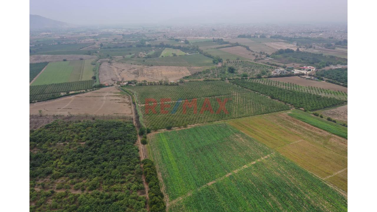 Lotes ´Para Casa De Campo En Condominio Cerrado - Huaral - Con Titulo De Propiedad - 7