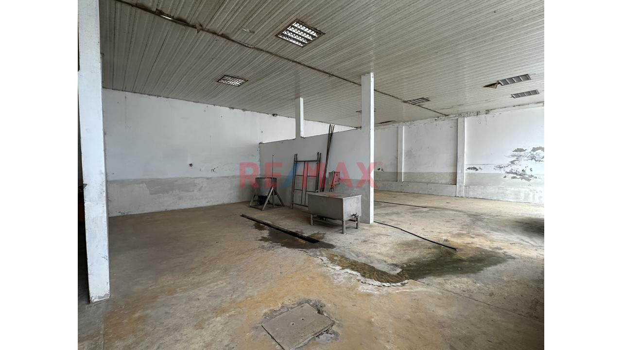 🏭 ¡Oportunidad Única En Ventanilla! Local Industrial De 923 M² Con Zonificacion I2 - 8