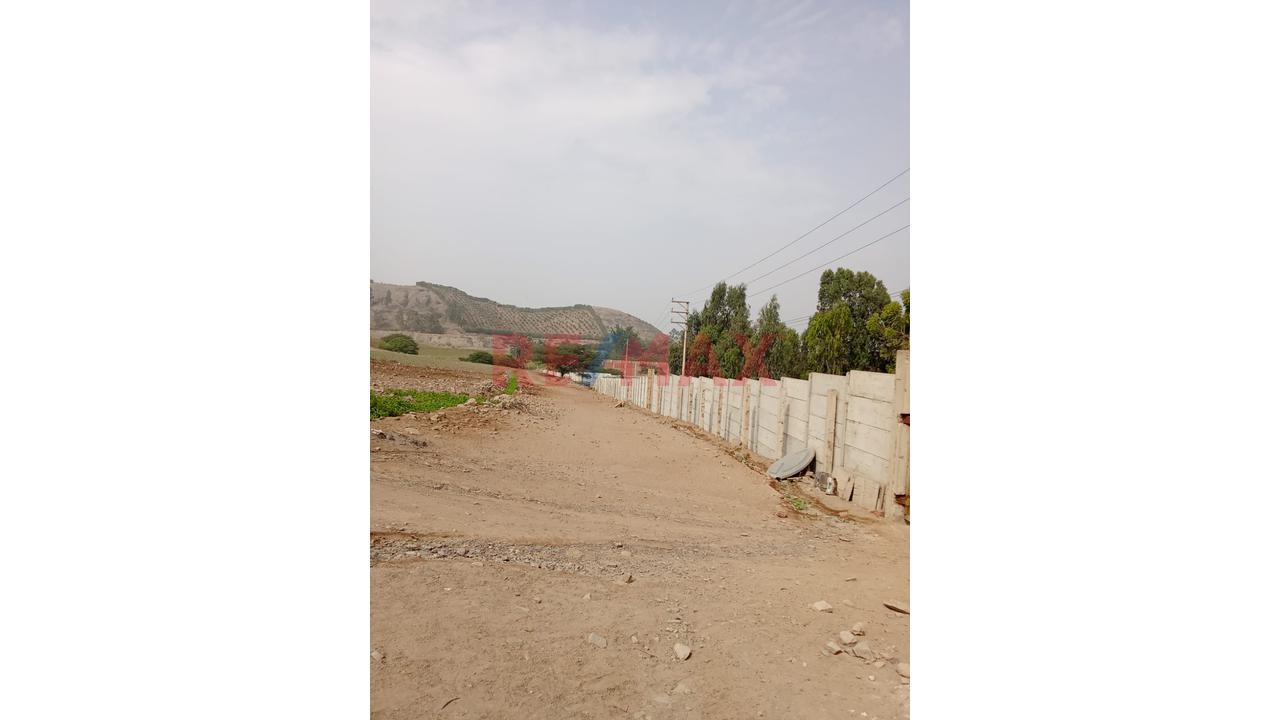 ✨ Venta De Terreno En Pachacamac – Predio Urbano ✨ - 7