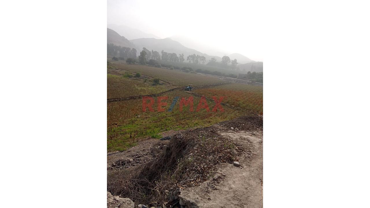 ✨ Venta De Terreno En Pachacamac – Predio Urbano ✨ - 3