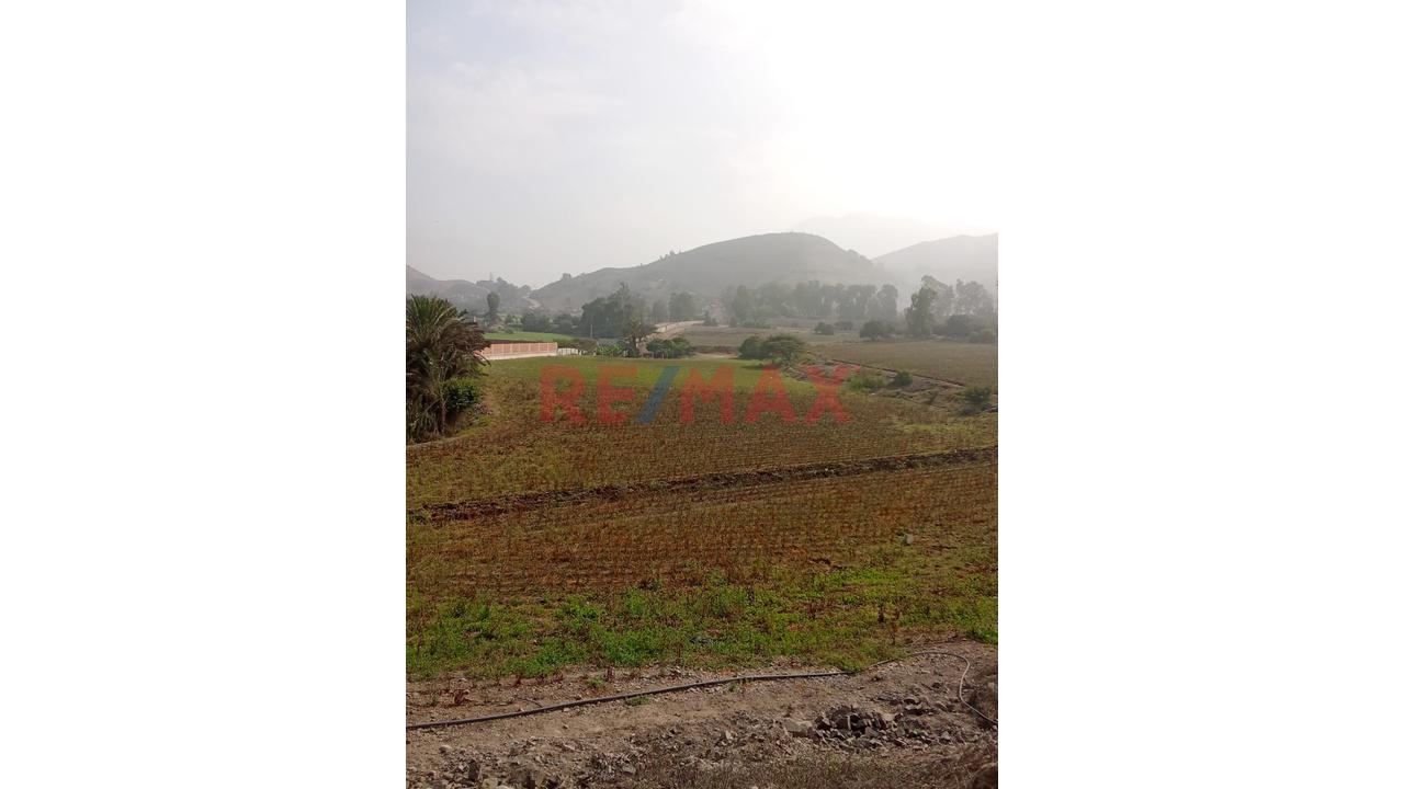 ✨ Venta De Terreno En Pachacamac – Predio Urbano ✨ - 4