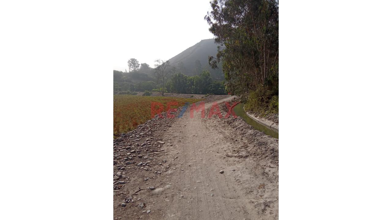 ✨ Venta De Terreno En Pachacamac – Predio Urbano ✨ - 2