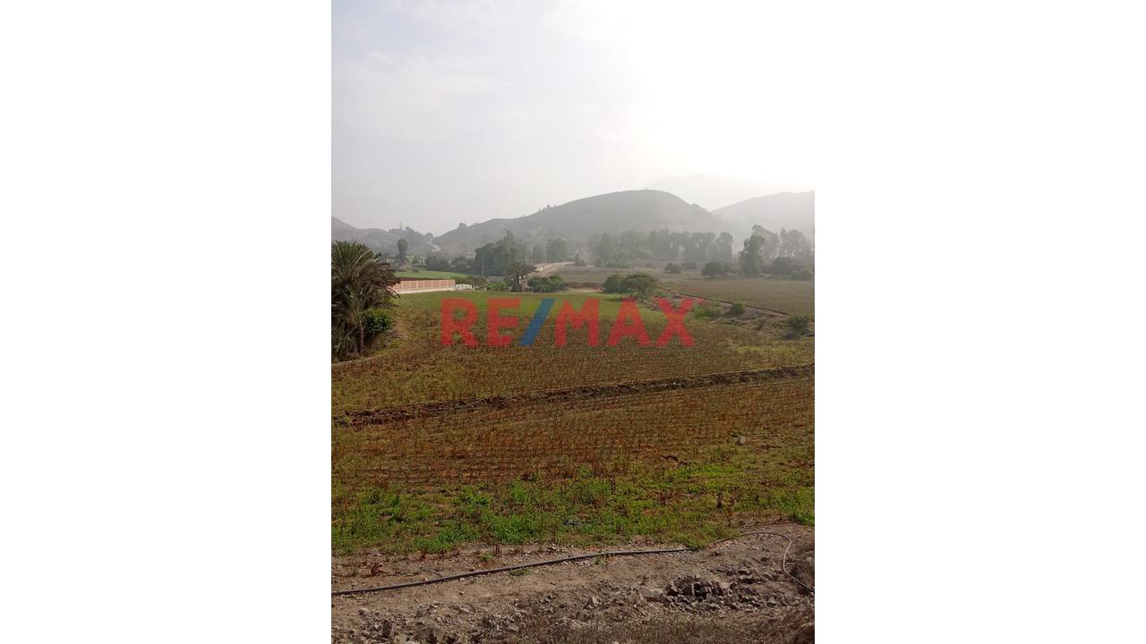 ✨ Venta De Terreno En Pachacamac – Predio Urbano ✨ - 1