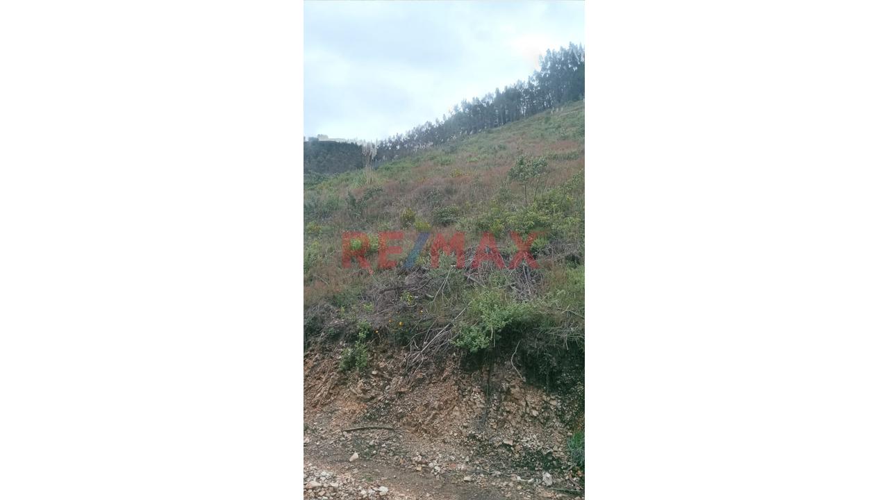 Se Vende 1 Ha. De Terreno Agrícola, Sector 4 Urubamba, Carretera A Cumbe Mayo, Cajamarca - 3