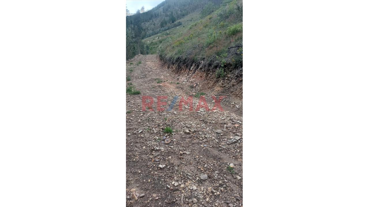 Se Vende 1 Ha. De Terreno Agrícola, Sector 4 Urubamba, Carretera A Cumbe Mayo, Cajamarca - 4