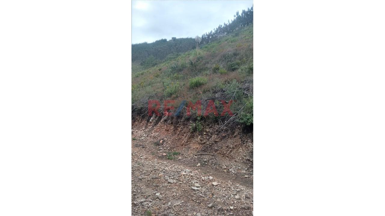 Se Vende 1 Ha. De Terreno Agrícola, Sector 4 Urubamba, Carretera A Cumbe Mayo, Cajamarca - 6