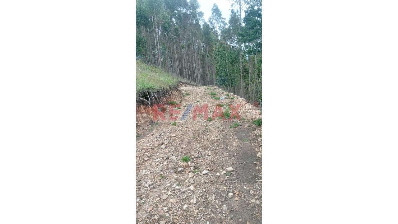 Se Vende 1 Ha. De Terreno Agrícola, Sector 4 Urubamba, Carretera A Cumbe Mayo, Cajamarca - 2
