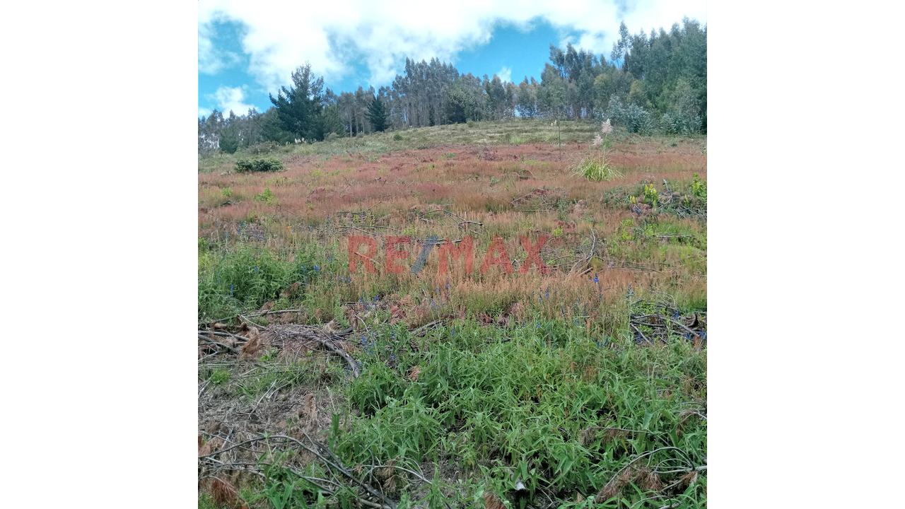 Se Vende 1 Ha. De Terreno Agrícola, Sector 4 Urubamba, Carretera A Cumbe Mayo, Cajamarca - 7