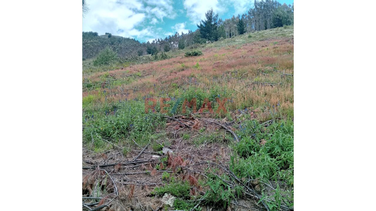 Se Vende 1 Ha. De Terreno Agrícola, Sector 4 Urubamba, Carretera A Cumbe Mayo, Cajamarca - 1