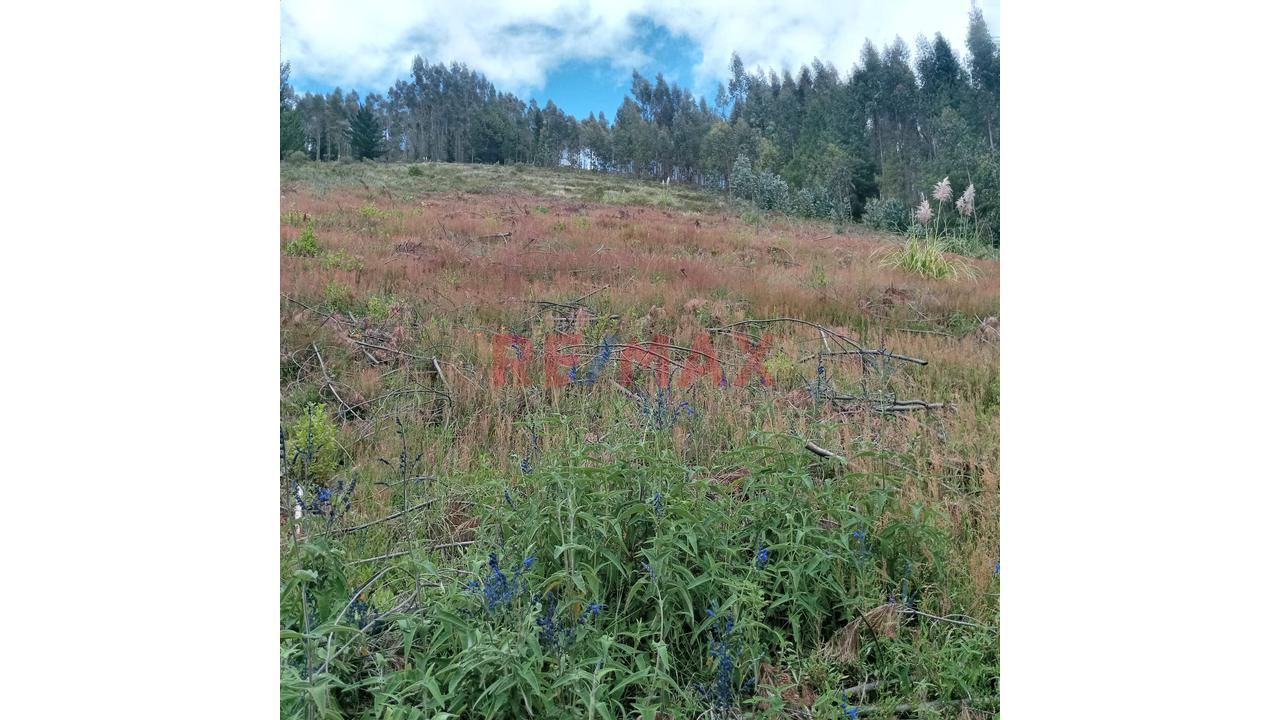 Se Vende 1 Ha. De Terreno Agrícola, Sector 4 Urubamba, Carretera A Cumbe Mayo, Cajamarca - 13