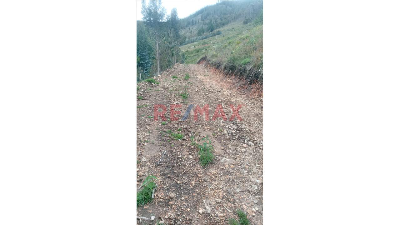 Se Vende 1 Ha. De Terreno Agrícola, Sector 4 Urubamba, Carretera A Cumbe Mayo, Cajamarca - 5