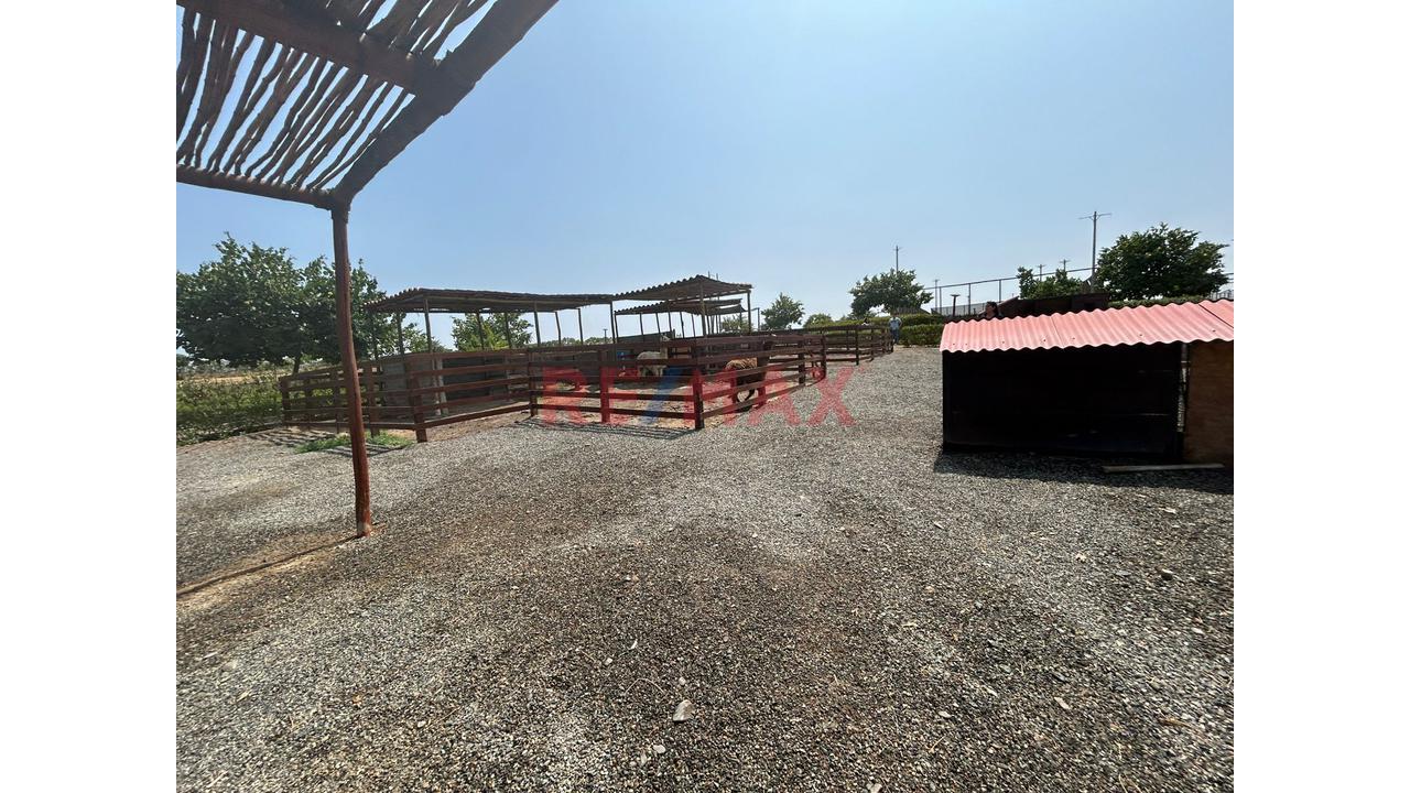 Vive El Verano Todo El Año: Terreno De 350 M² Exclusivo En Asia — foto 6