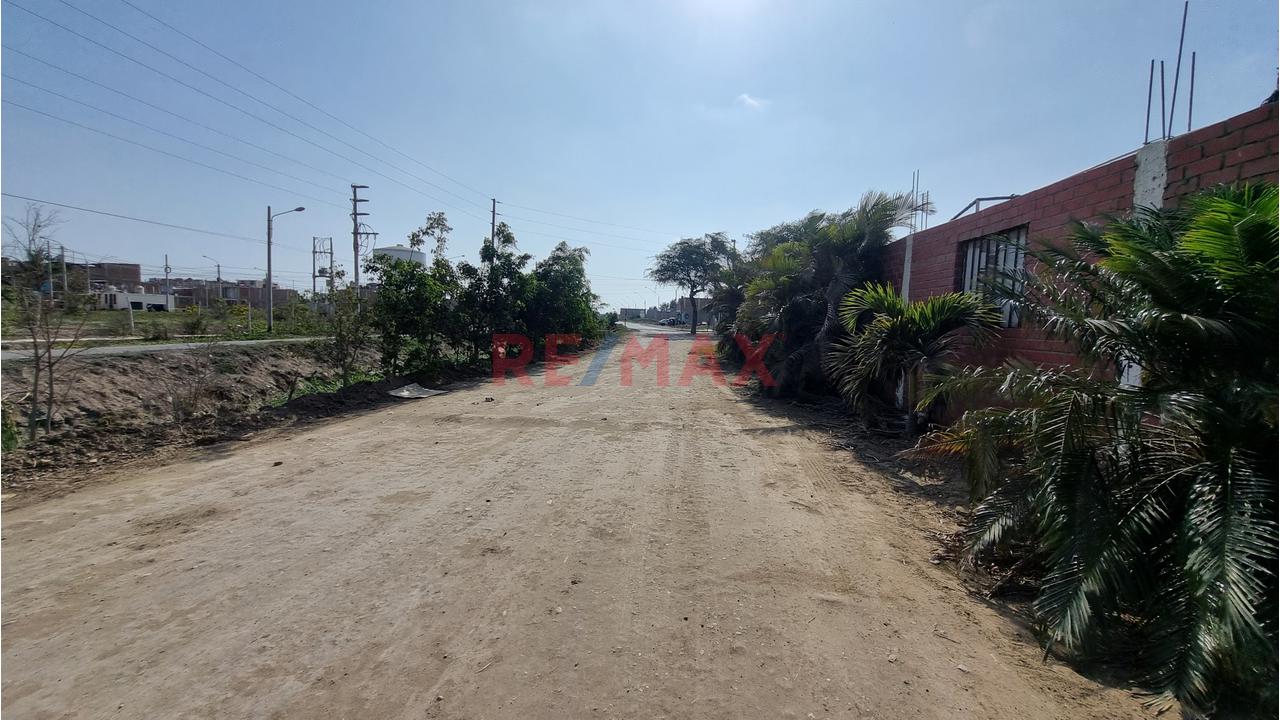 Amplio Terreno ubicado en Pimentel Amplio Terreno ubicado en Pimentel