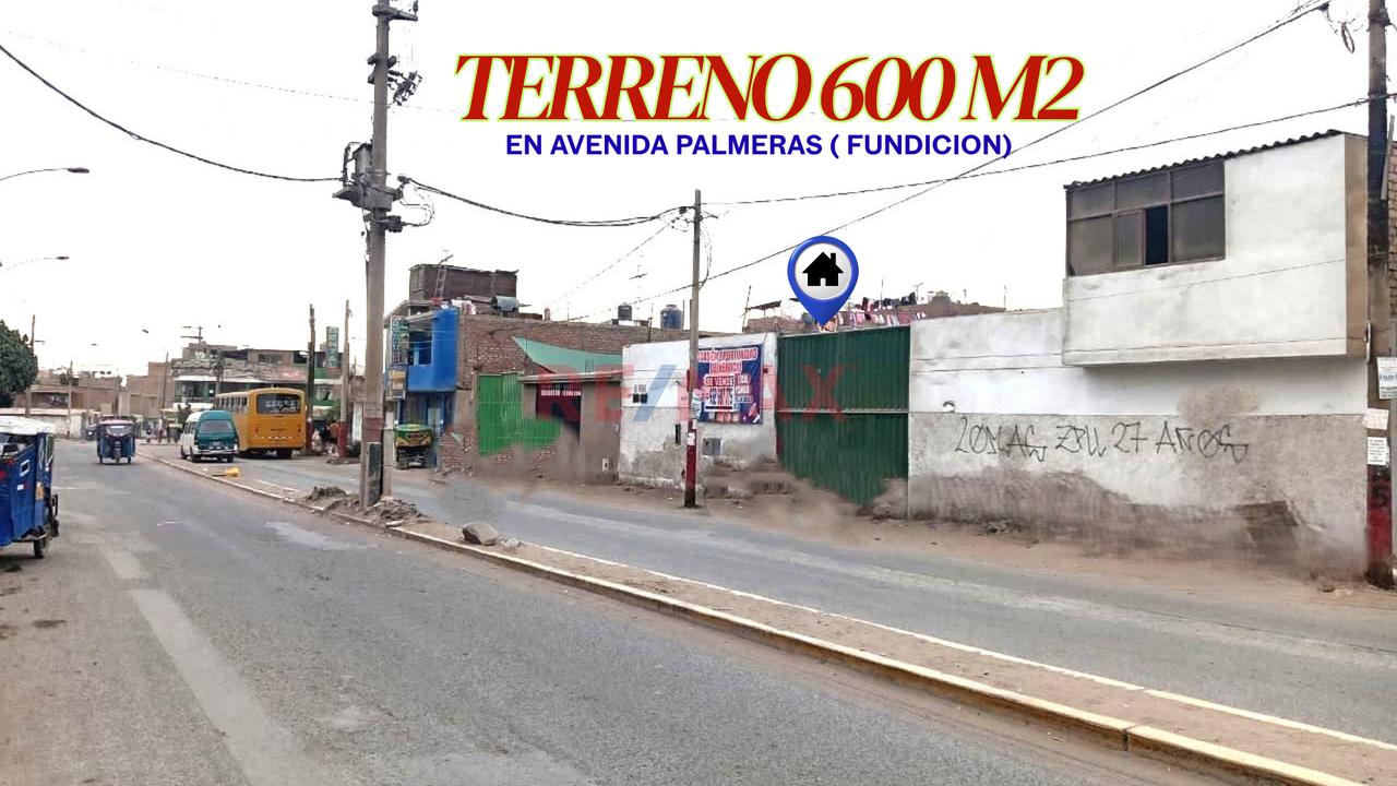 Terreno De 600 M2 En Avenida – Puente Piedra (Fundición) - 1