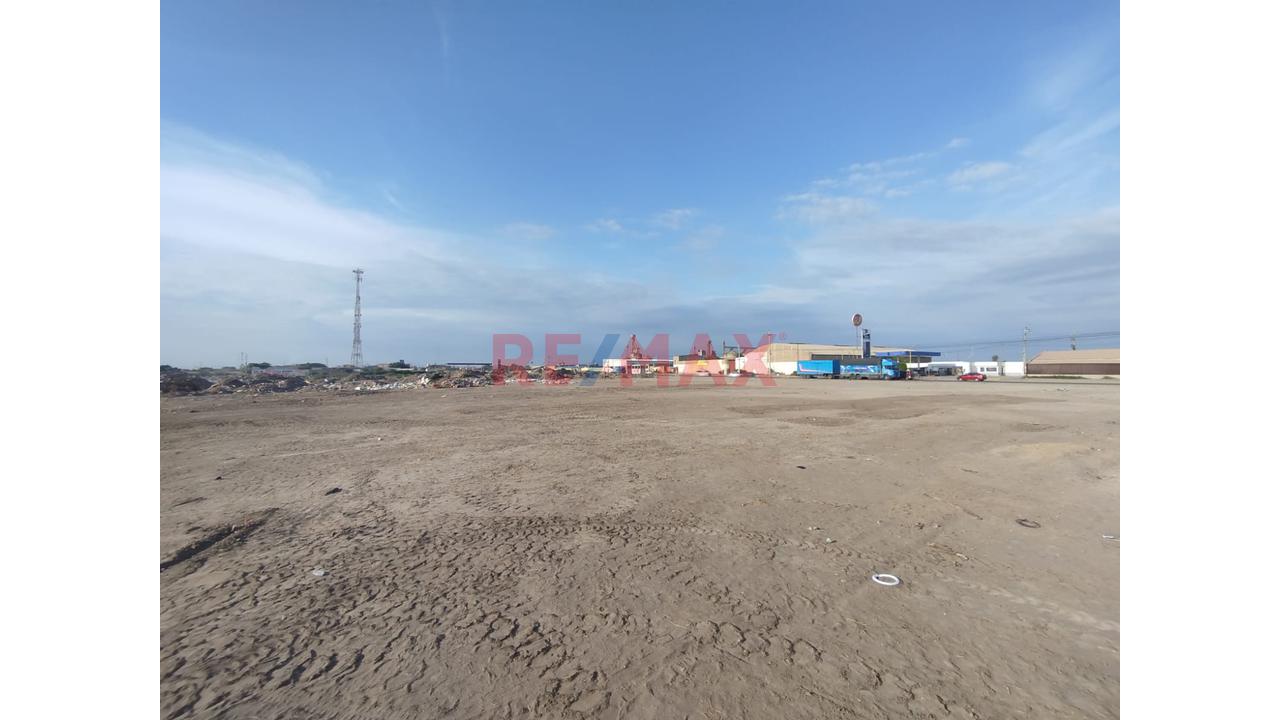 Amplio Terreno ubicado en Lambayeque Amplio Terreno ubicado en Lambayeque