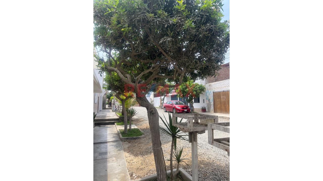 Venta De Terreno Playa Pulpos — foto 3