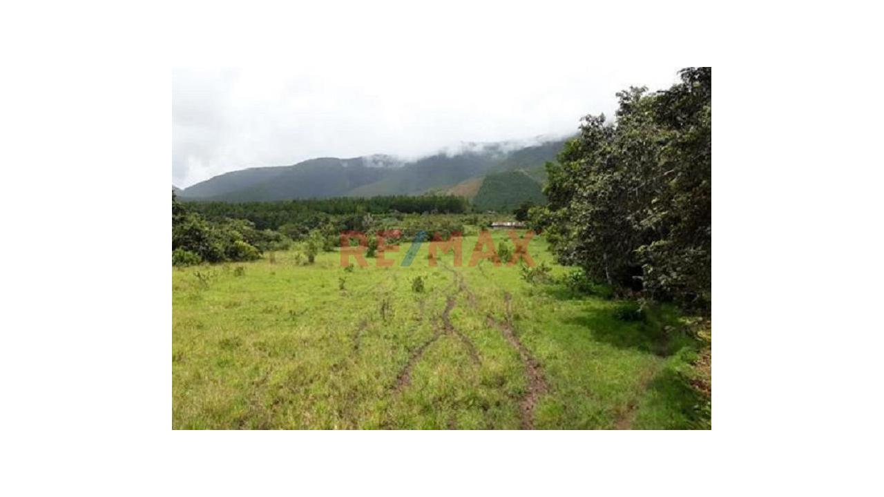 Terreno Agricola En Venta De 10 Hectáreas -  Izcozacin-Palcazu- Oxapampa - 7