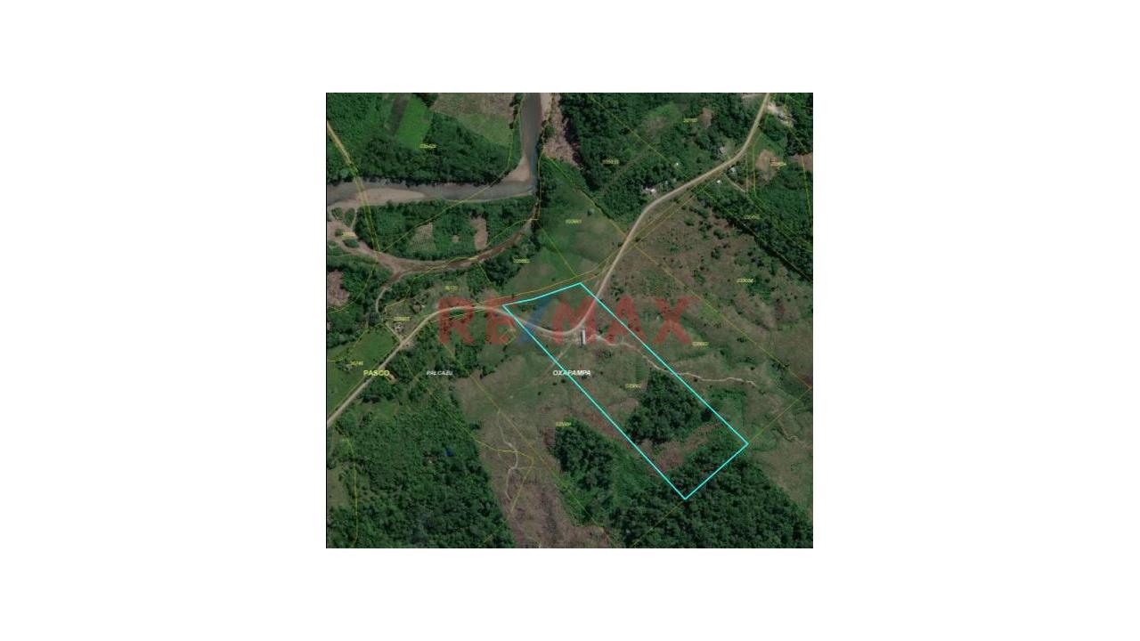 Terreno Agricola En Venta De 10 Hectáreas -  Izcozacin-Palcazu- Oxapampa - 6