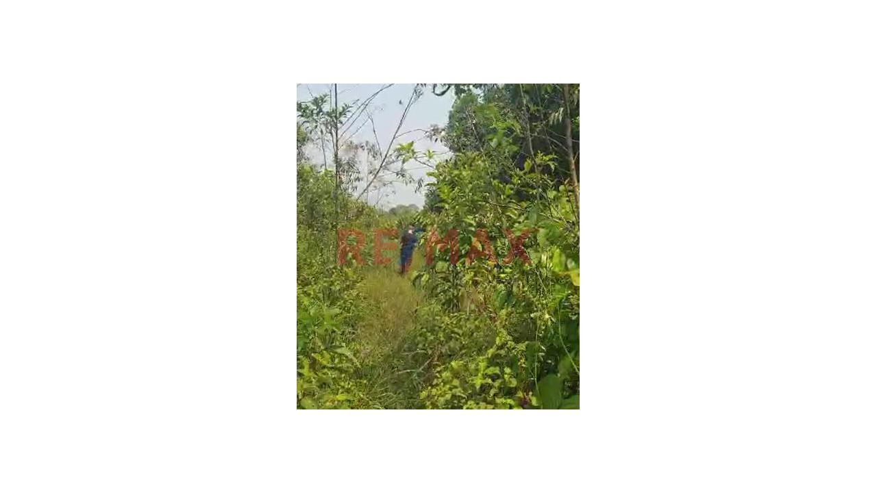 Terreno Agricola En Venta De 10 Hectáreas -  Izcozacin-Palcazu- Oxapampa - 3