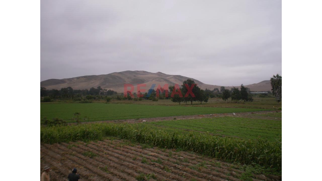 Terreno En Venta De 2 Hectáreas - Huacho — foto 5