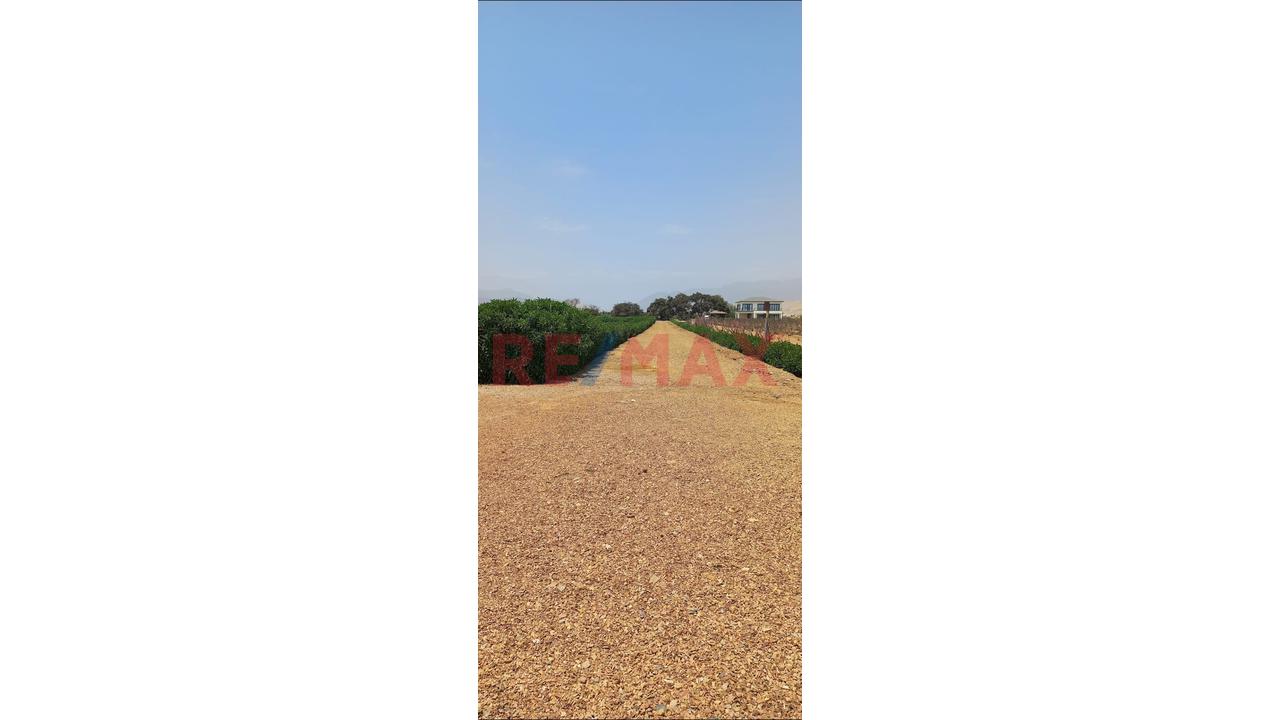 Terreno De 500 M2 Rodeado De Naturaleza Y Cerca Al Mar En Asia - 12