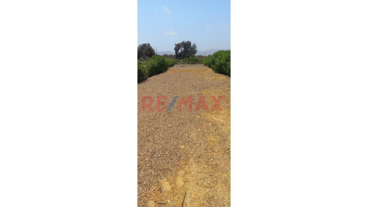 Terreno De 500 M2 Rodeado De Naturaleza Y Cerca Al Mar En Asia - 8