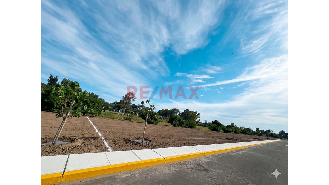 🏡🌿 Invierte En Paz Y Naturaleza: 14 Lotes De Campo Totalmente Independientes 🔑 - 5