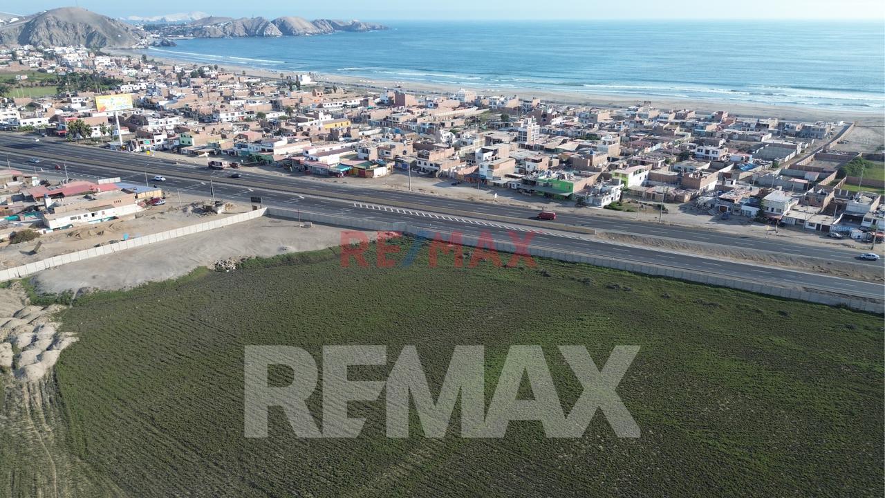 Se Vende Terreno 15,000 M2 Gran Oportunidad En Panamericana Sur Km 90 Bujama¡¡ - 9