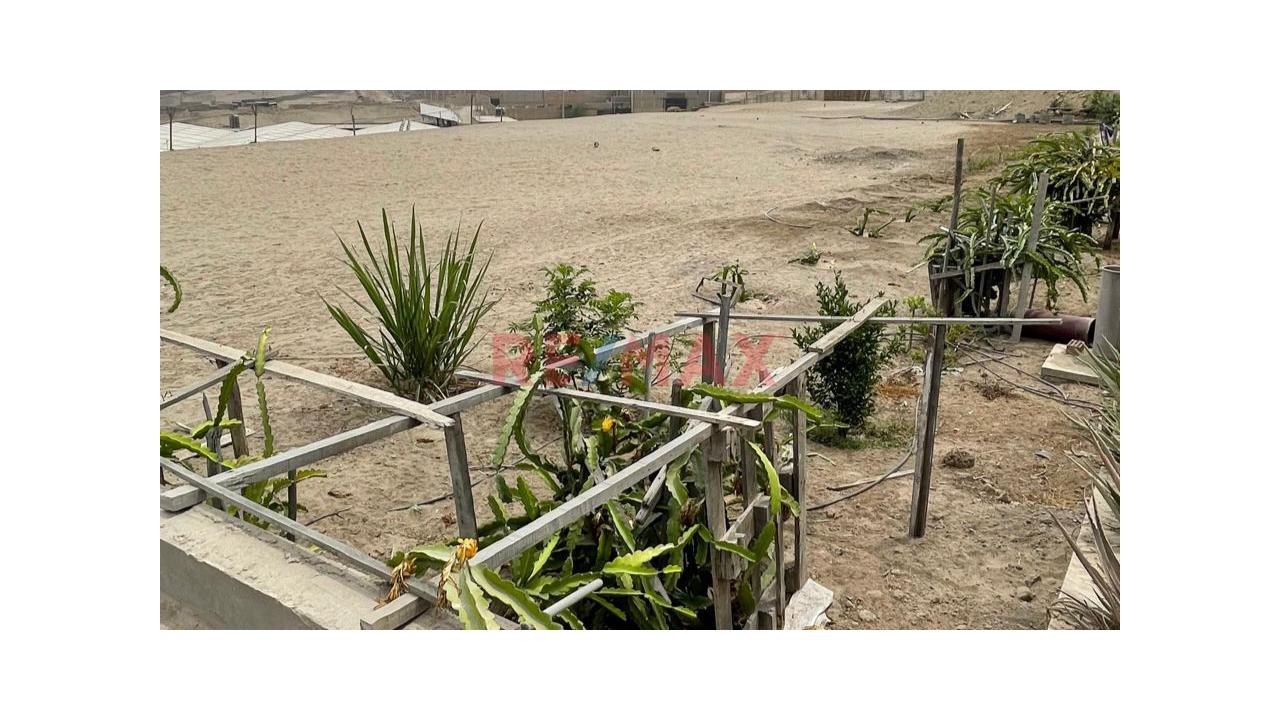 Terreno Industrial En Venta – 3 Lotes Juntos Con Almacén, Oficinas Y Servicios – Pachacútec — foto 12