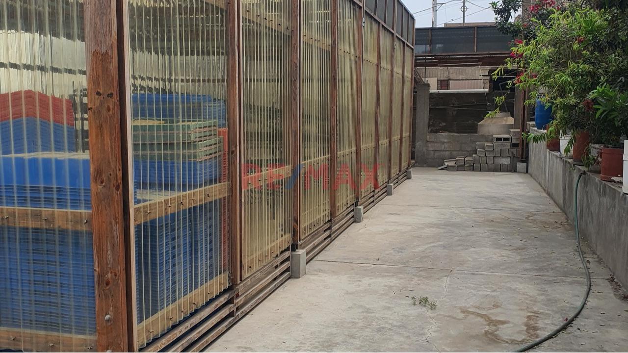 Terreno Industrial En Venta – 3 Lotes Juntos Con Almacén, Oficinas Y Servicios – Pachacútec — foto 9